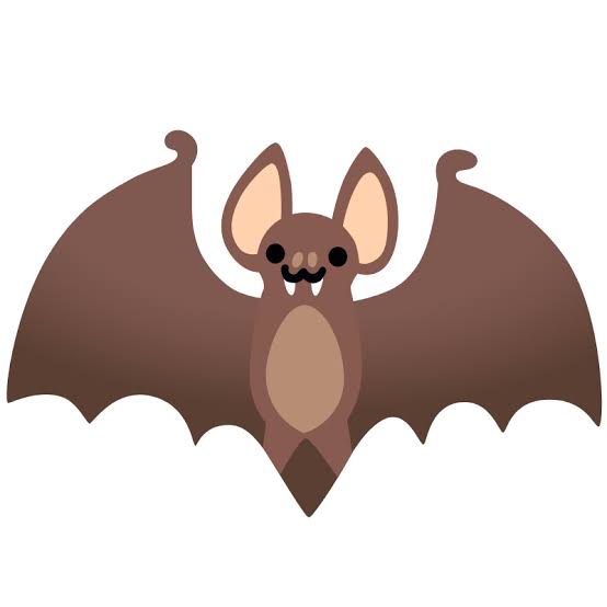 chauve souris