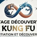 kung fu